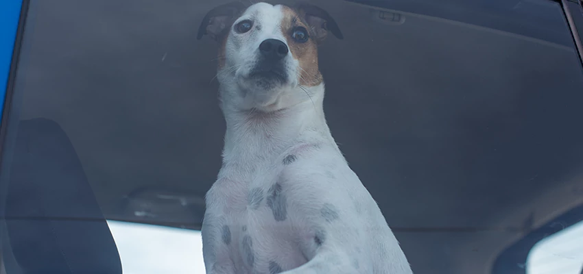 Car Lockout Solutions in West Hollywood, California